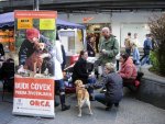 Akcija besplatnog mikročipovanja i vakcinisanja pasa protiv besnila